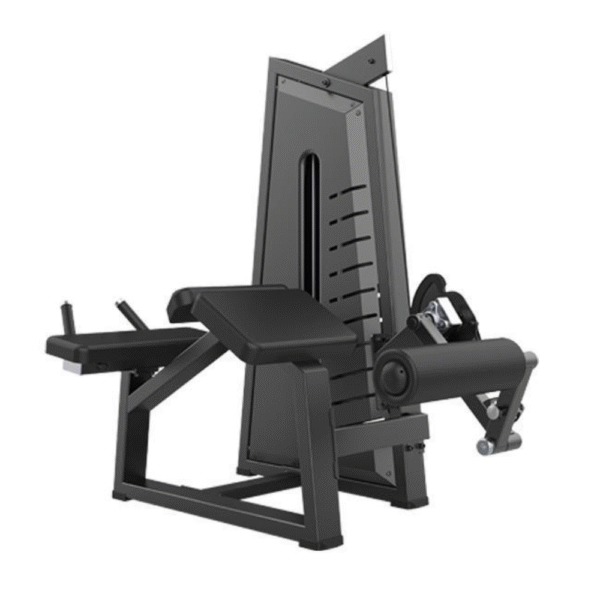 Prone leg curl TS